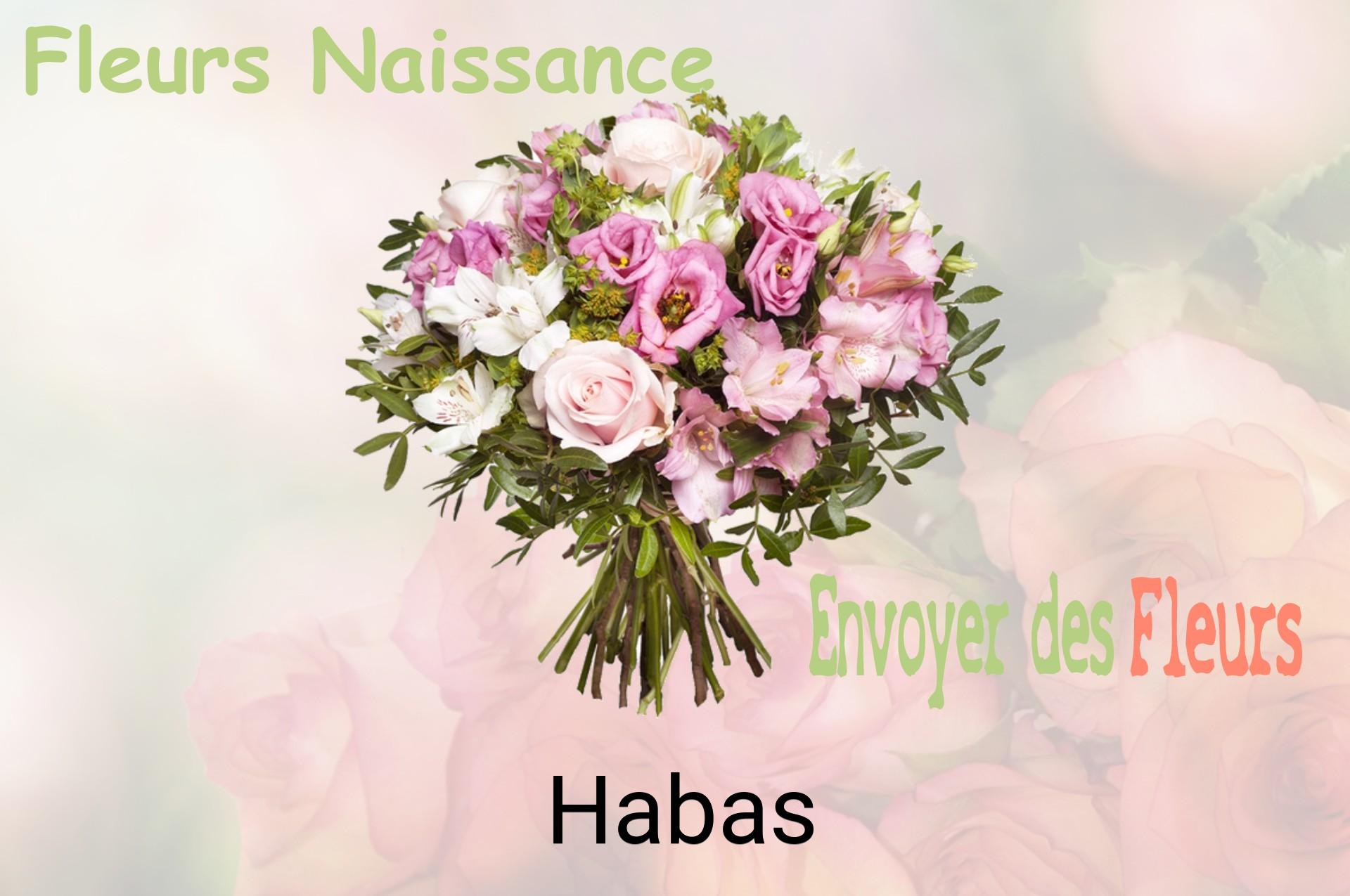 Bouquet de fleurs de naissance livré à Habas