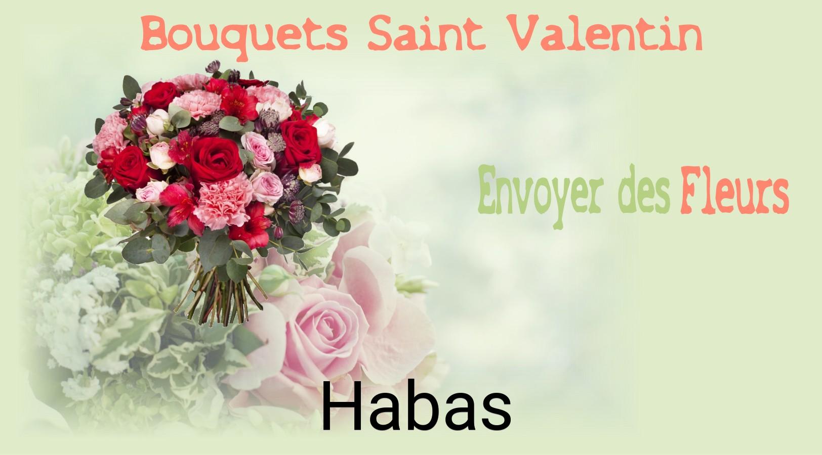 Roses de Saint-Valentin livrées à Habas