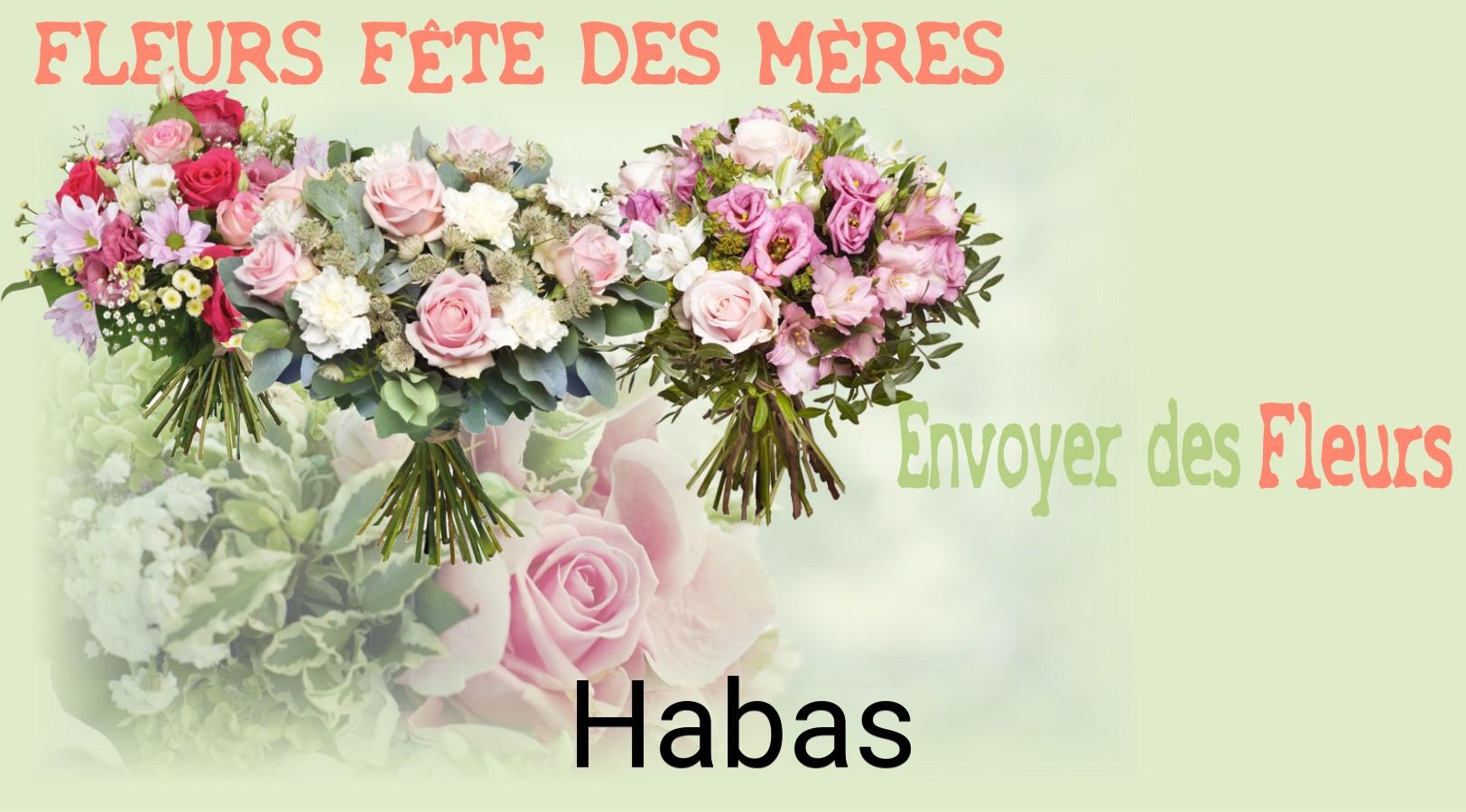 Bouquet de Fête des Mères livré à Habas