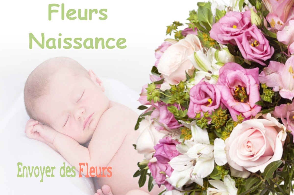 lIVRAISON FLEURS NAISSANCE à HABAS